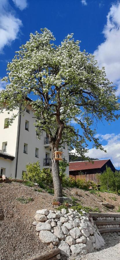 Sognoincadore Domegge di Cadore