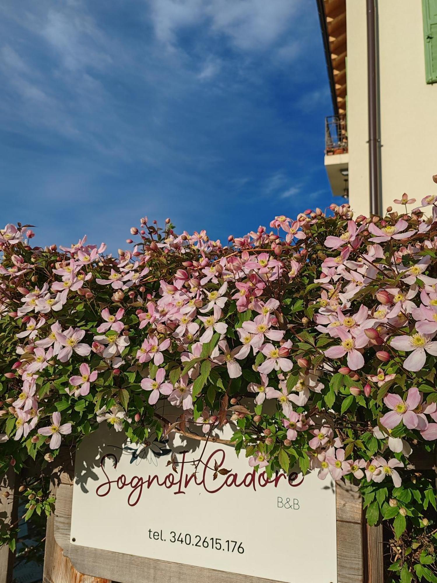 Sognoincadore Bed & Breakfast Domegge di Cadore