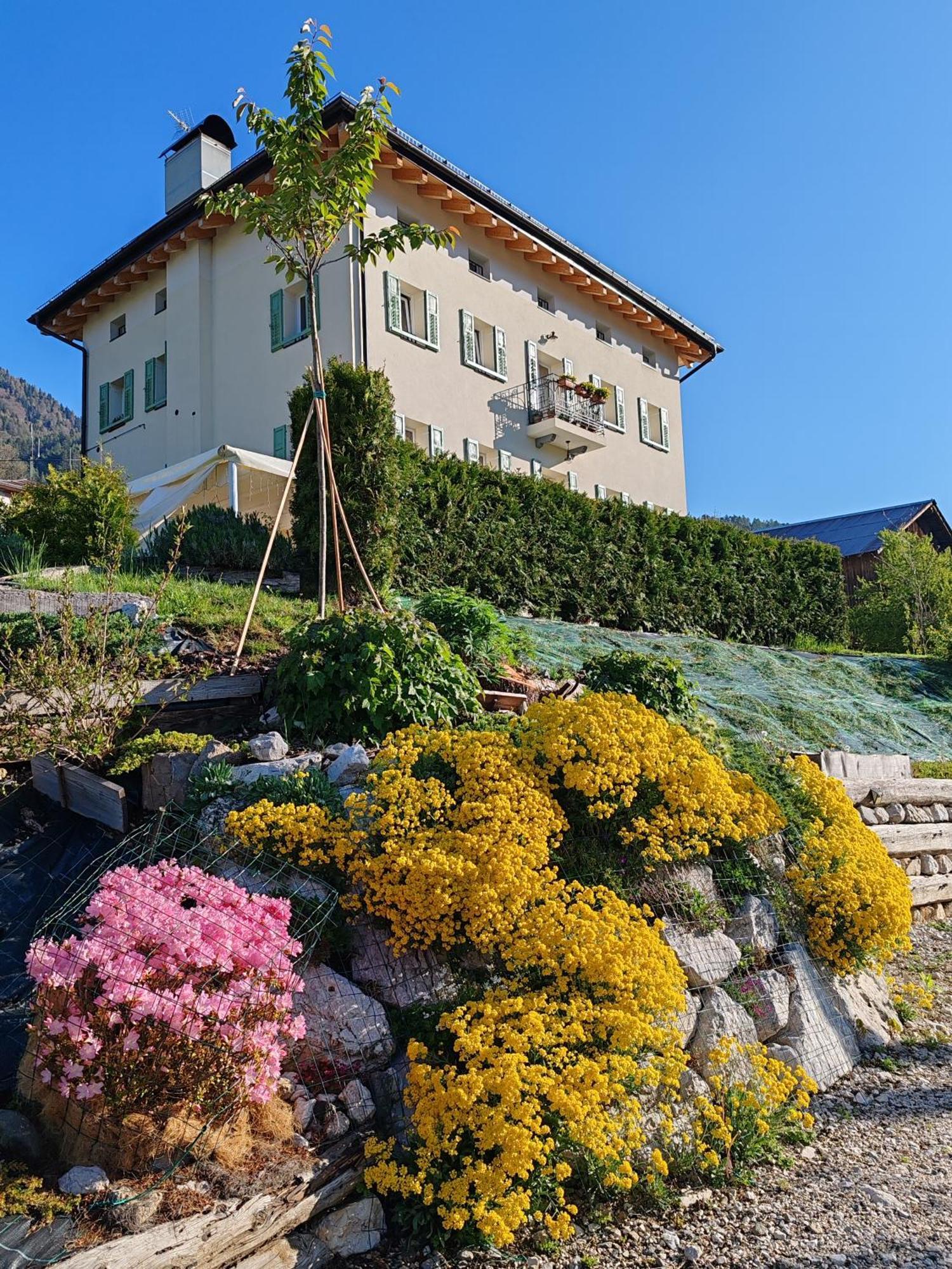 Sognoincadore * Domegge di Cadore