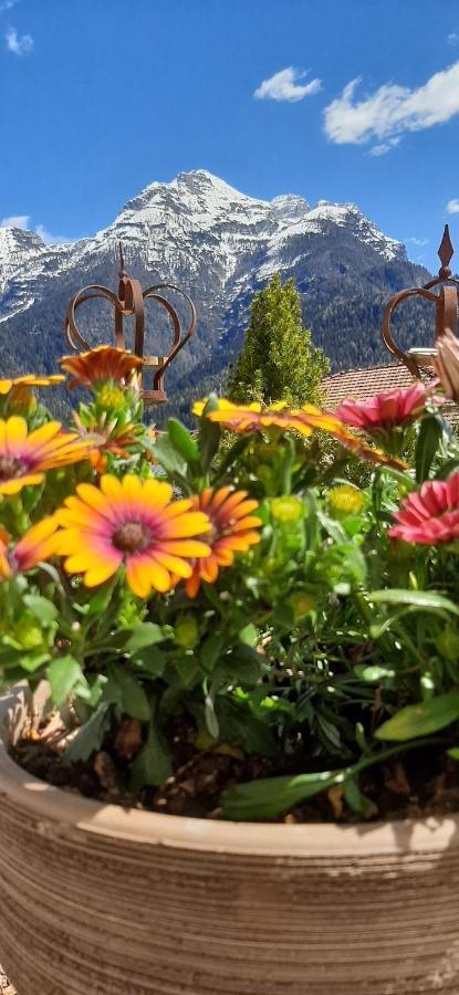 Frühstückspension Sognoincadore Domegge di Cadore